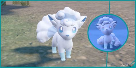 how to evolve alolan vulpix violet|Pokemon Scarlet & Violet: How to Get Alolan Vulpix .